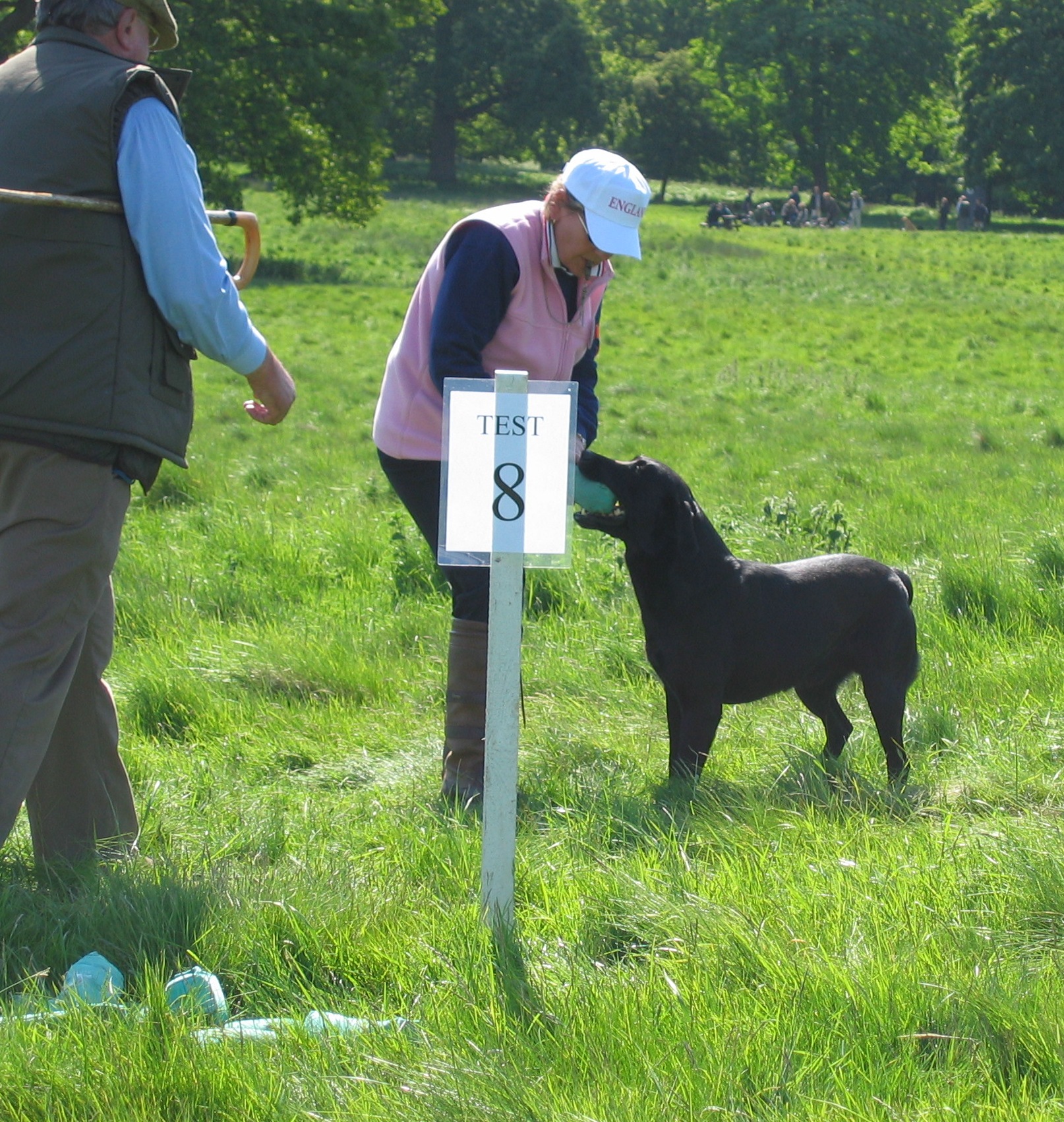 Viper Retrieving to Sandra England Team Competition